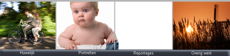 Overig werk